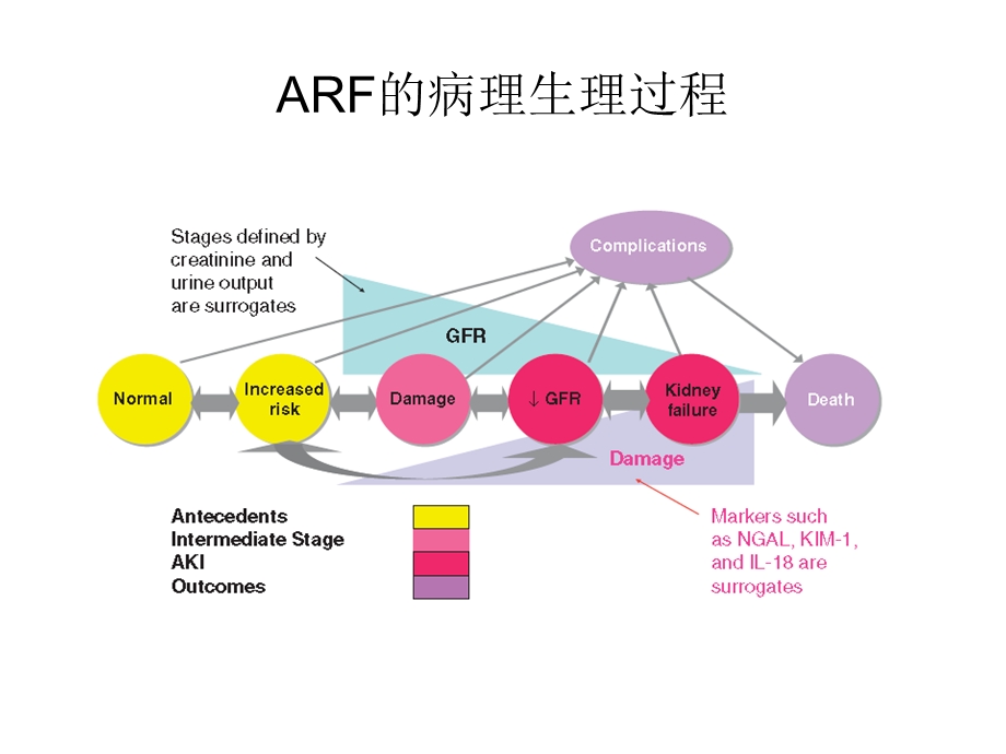 急性肾损伤诊断标准进展.ppt_第3页