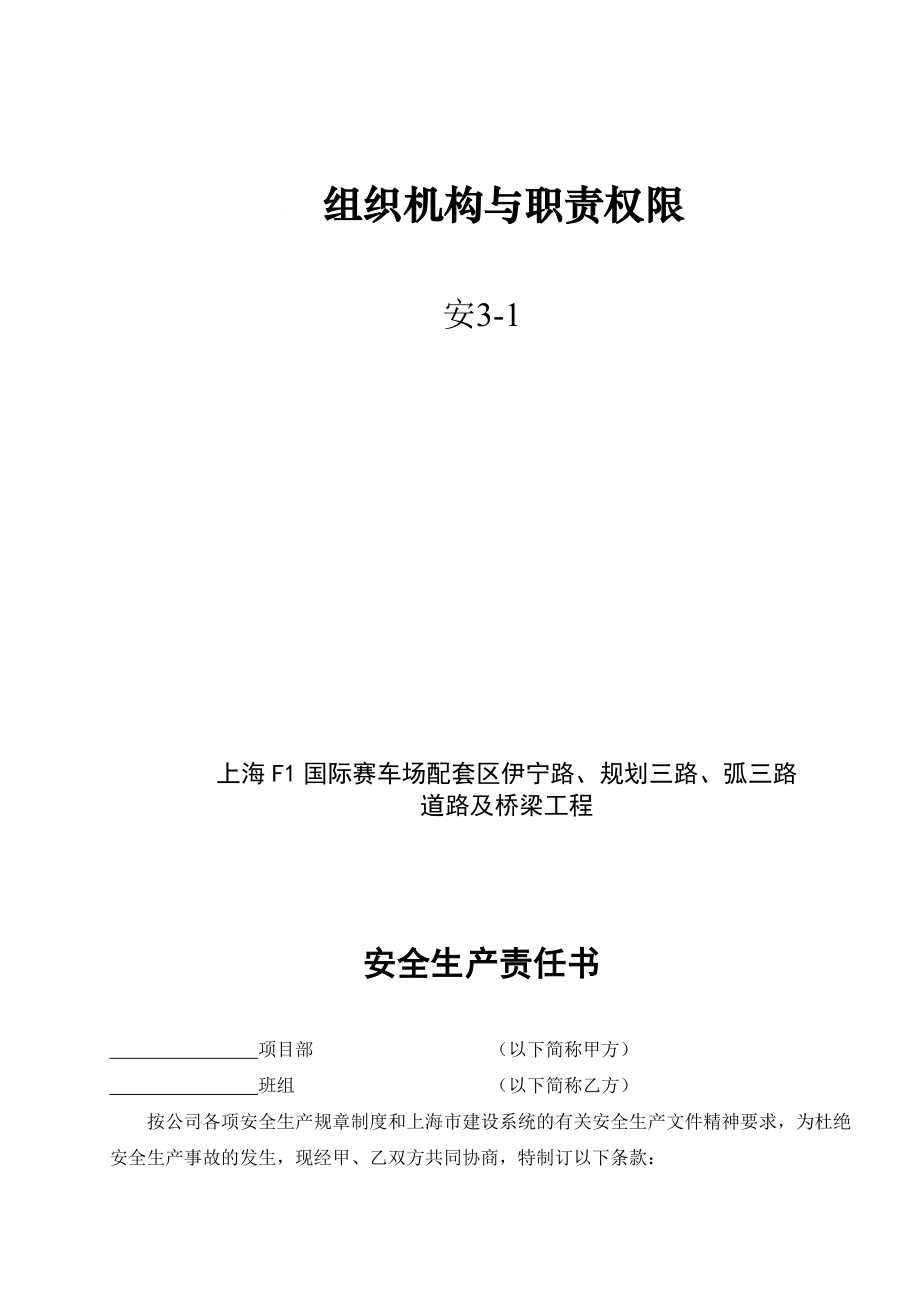 (３实施嘉定新城F1国际赛车场配套区安保体系.doc_第2页