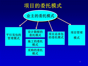 建设项目的实施方式.ppt