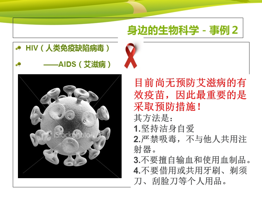 我们身边的生物科学.ppt_第3页