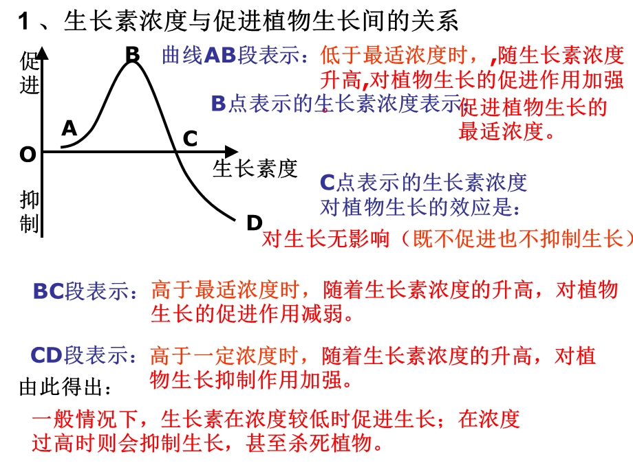 生长素的生理作用.ppt_第3页