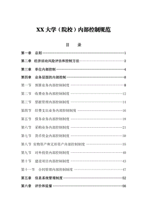 大学(学院)内部控制规范(范本)(财会必备).docx