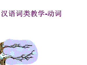 汉语词类教学-动词.ppt