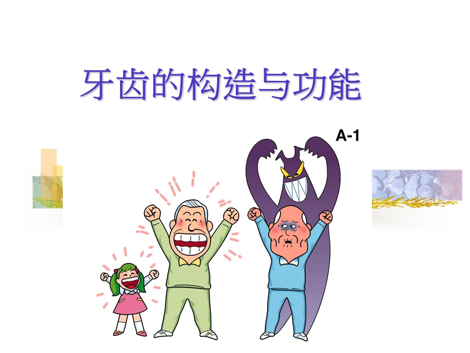 牙齿的构造与功能.ppt_第1页