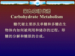 生物化学PPT课件Chapter9糖代谢.ppt