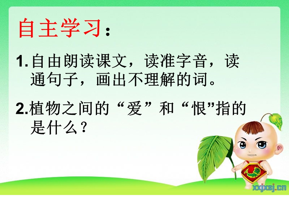 植物之间的爱和恨课件.ppt_第3页