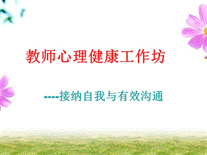 教师心理健康工作坊.ppt