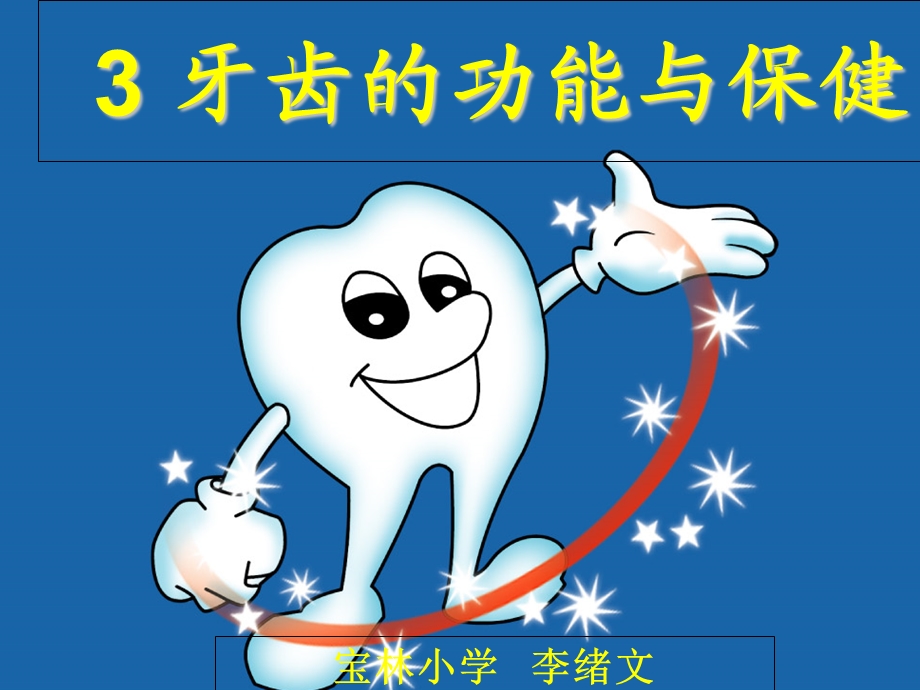 牙齿的功能与保健.ppt_第2页