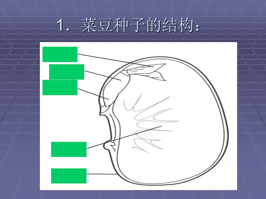 湘教版科学四年级下册复习竞答题.ppt_第2页