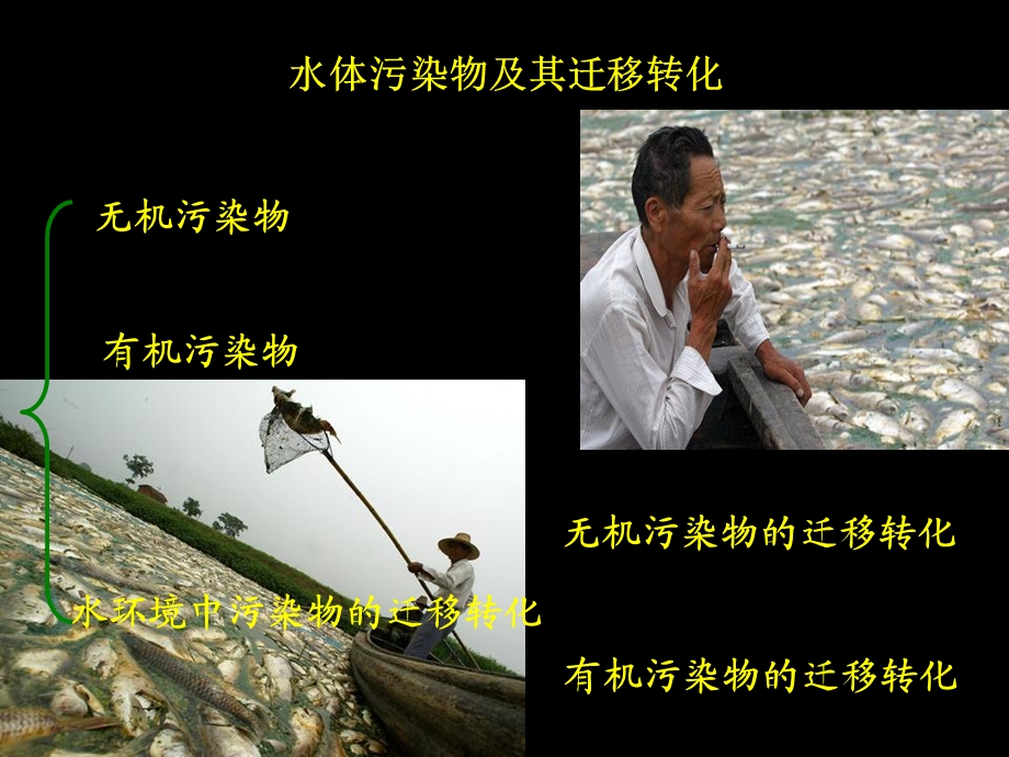 水体中污染物的迁移转化.ppt_第1页