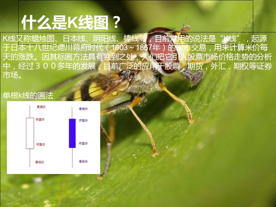 教你读懂炒白银的盘面与K线.ppt_第1页