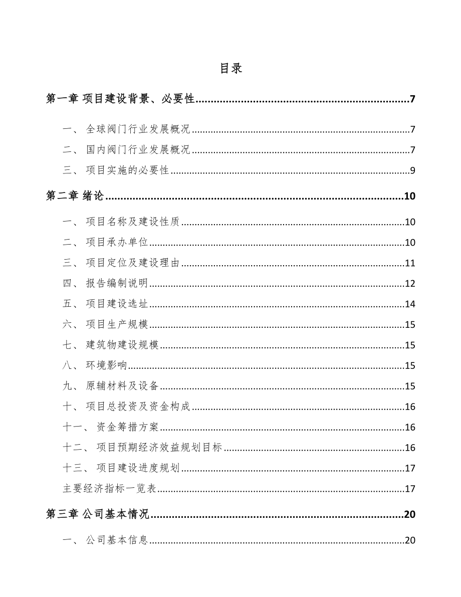 大理阀门项目可行性研究报告.docx_第1页