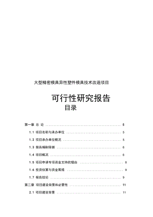 大型精密模具异性塑件模具技术改造项目可行性研究报告.docx