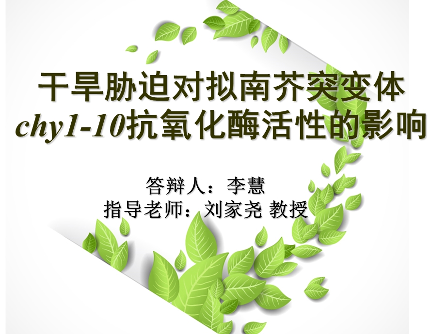 生物技术专业毕业论文ppt.ppt_第1页