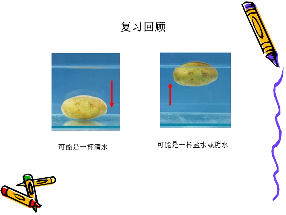 探索马沉浮原因.ppt_第2页