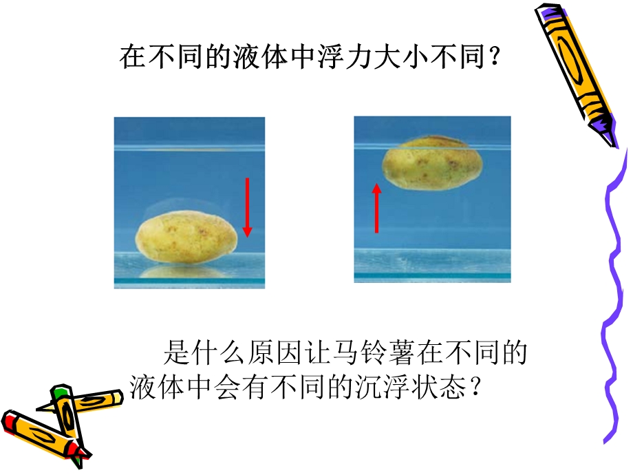 探索马沉浮原因.ppt_第3页