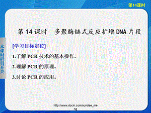 【大学课件】多聚酶链式反应扩增DNA片段.ppt