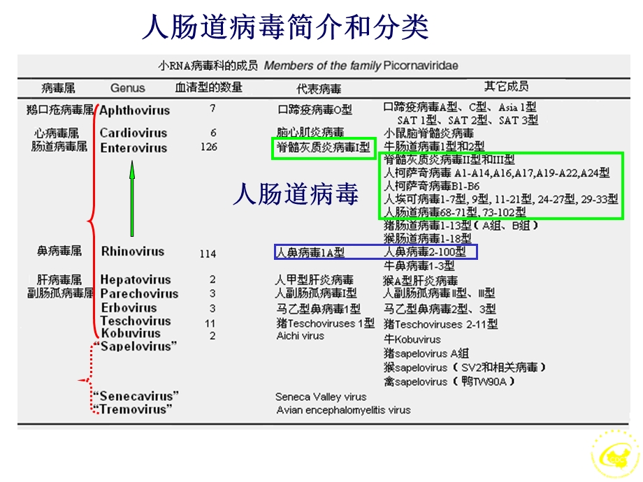 手足口病流行病和病毒学特征.ppt_第2页