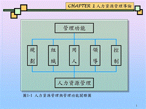 图11人力资源管理与管理功能关联图.ppt