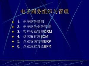 电子商务组织与管理全面讲解.ppt