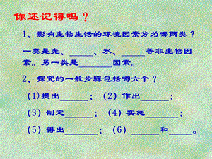 生物适应和影响环境.ppt