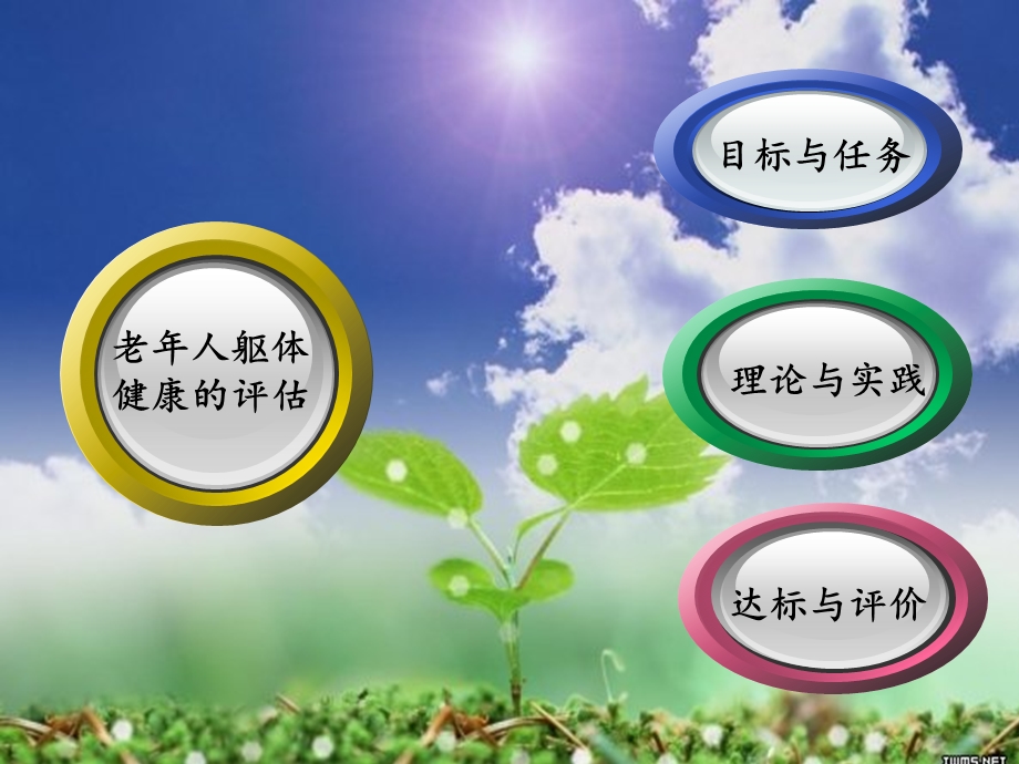 第二节老年人的躯体健康评估.ppt_第2页