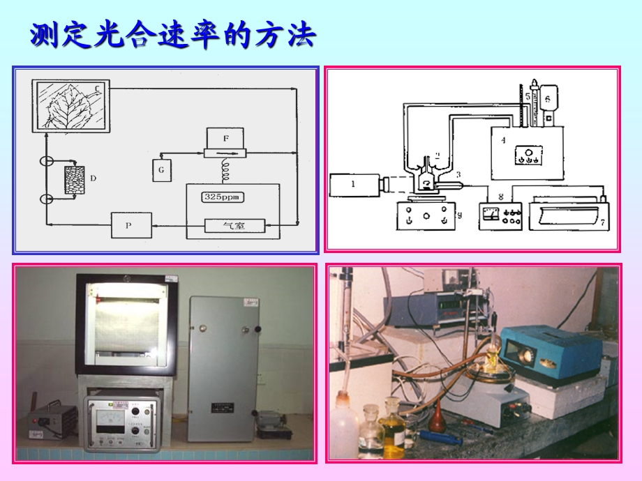 影响光合作用的因素.ppt_第2页