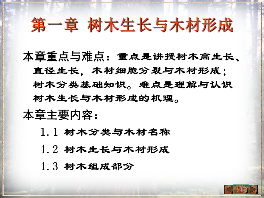 树木的生长和木材的形成.ppt_第1页