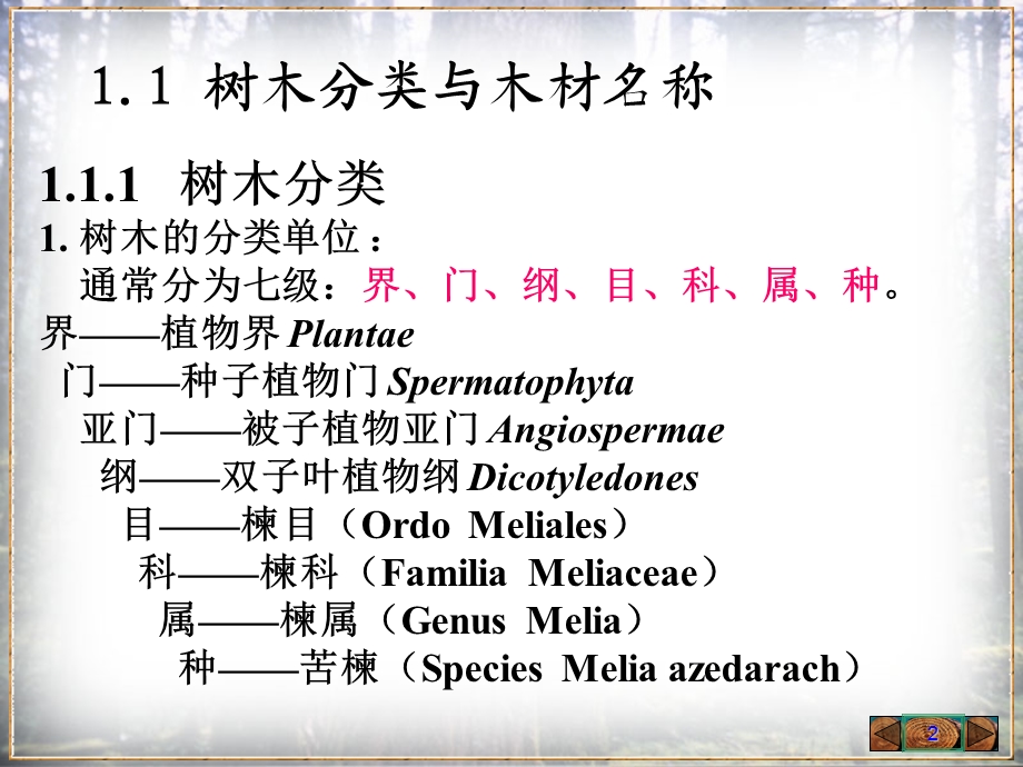 树木的生长和木材的形成.ppt_第2页