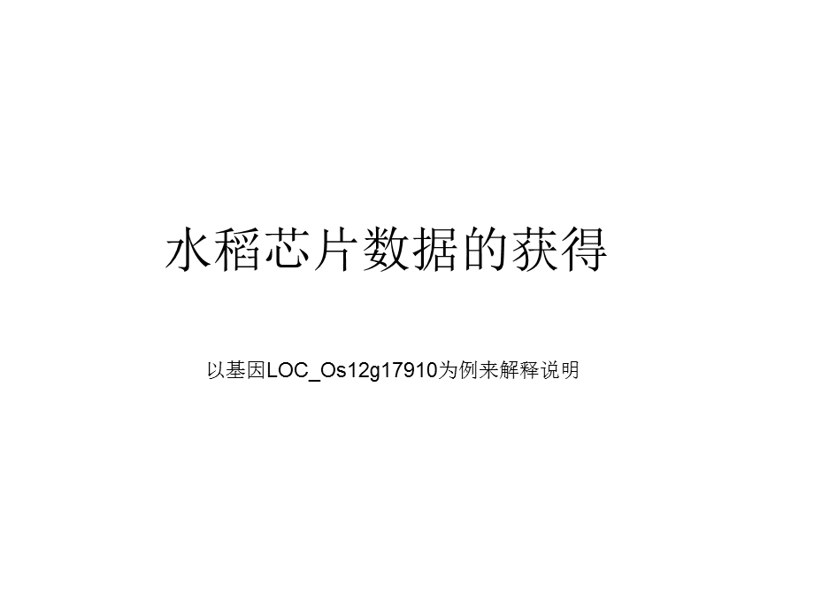 水稻芯片数据的查找.ppt_第1页