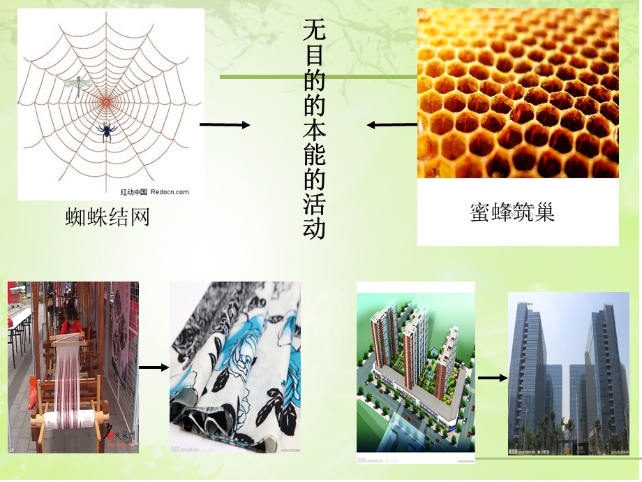 意识具有目的性和计划性.ppt_第3页