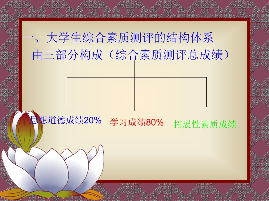 综合素质测评办法.ppt_第2页