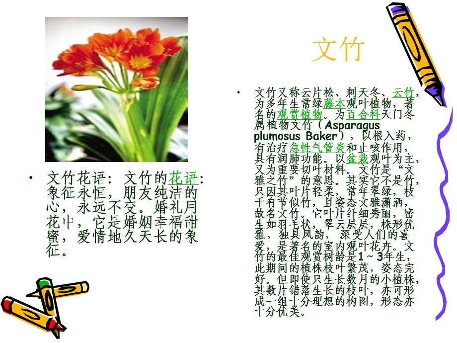 常见室内花卉介绍.ppt_第3页