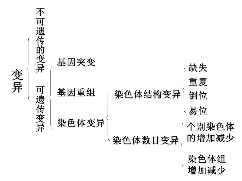 生物的变异与育种.ppt_第2页