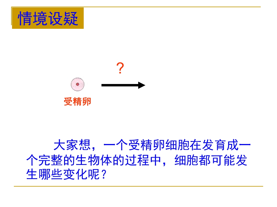 细胞分化形成组织.ppt_第1页