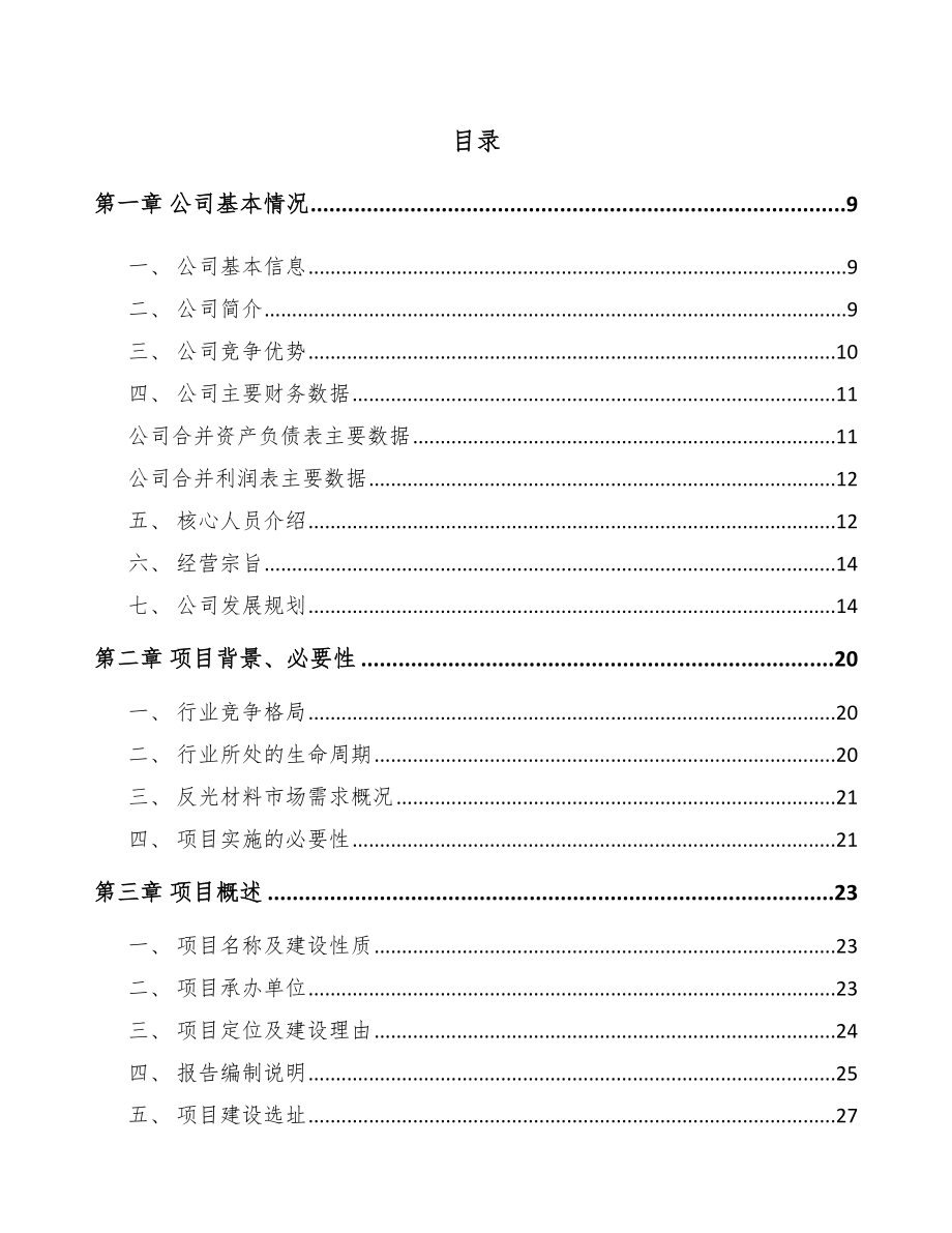 太原反光材料项目可行性研究报告.docx_第2页