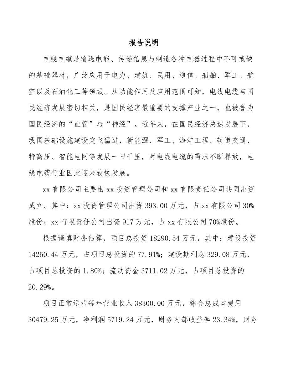 大连关于成立插头电源线公司可行性研究报告.docx_第2页