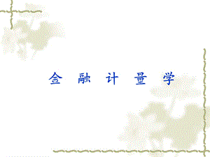 金融计量学介绍.ppt