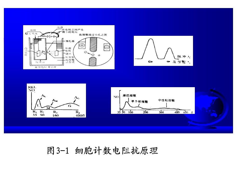 血液分析仪及临床应用.ppt_第3页