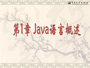 1.Java概述Java语言程序设计(陆迟编著).ppt