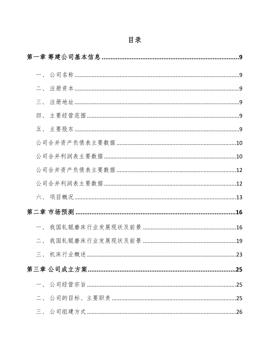 大连关于成立数控轧辊磨床公司可行性研究报告.docx_第2页