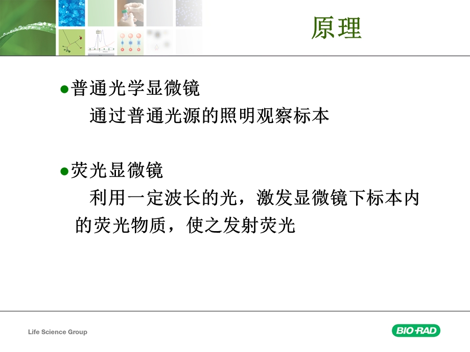 荧光显微成像系统的原理及构成.ppt_第2页