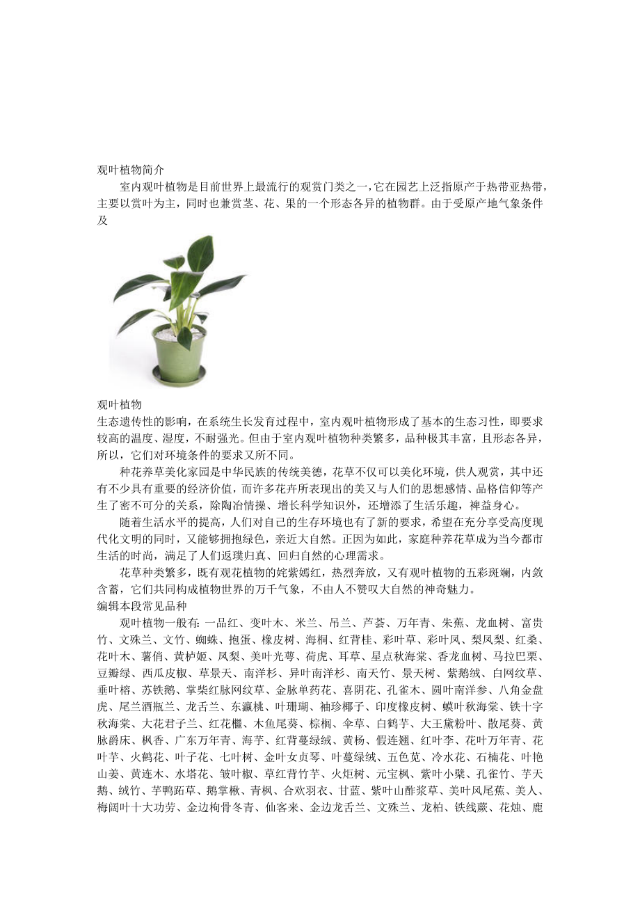 观叶植物简介.doc_第1页