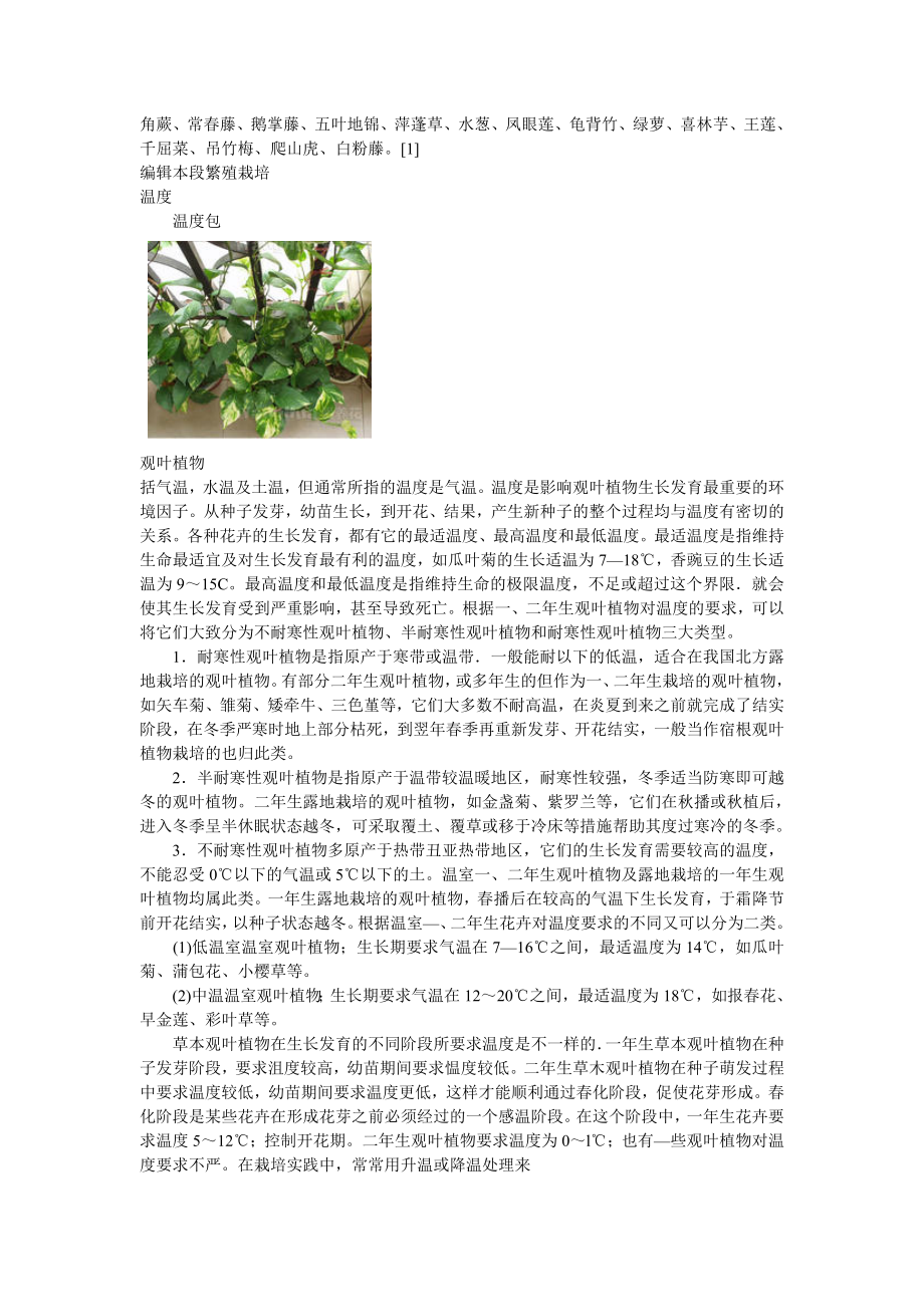 观叶植物简介.doc_第2页