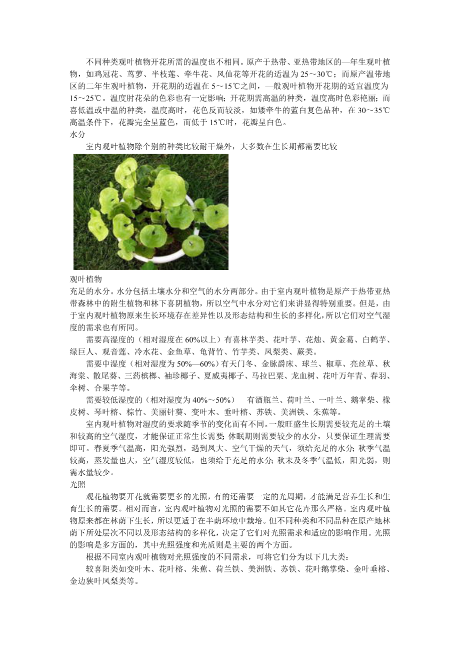 观叶植物简介.doc_第3页