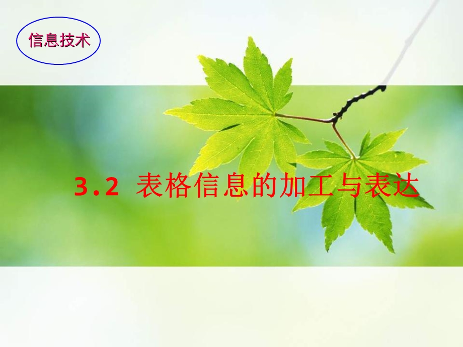 表格信息加工与表达.ppt_第1页