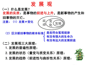 辩证法复习(发展观).ppt