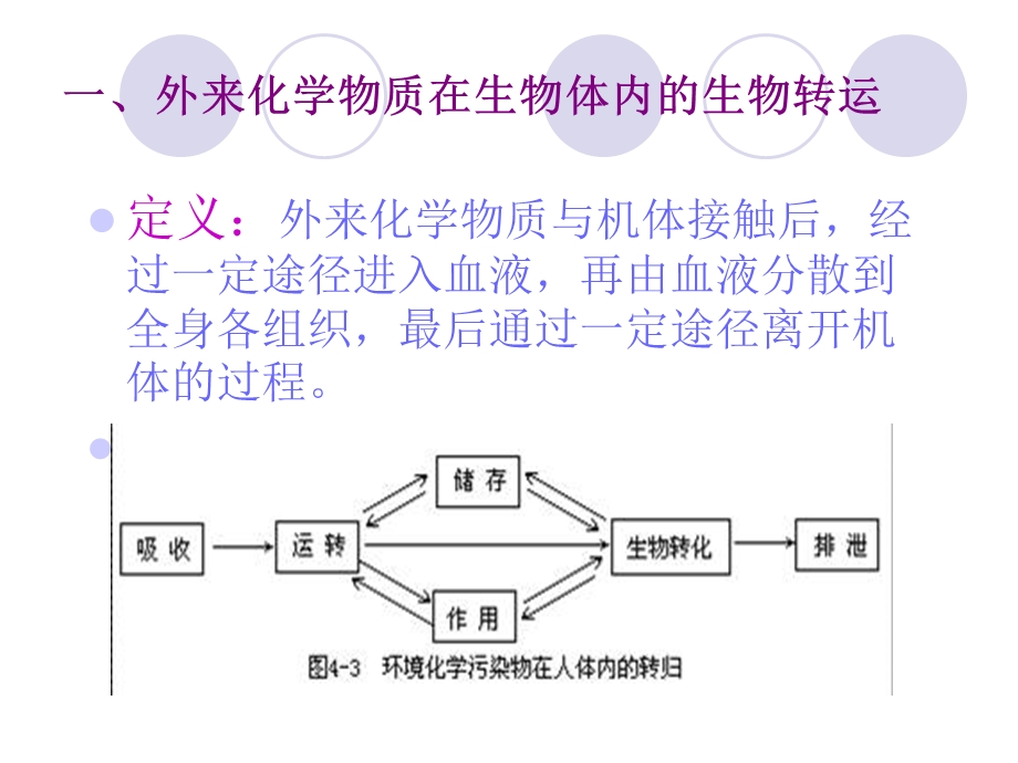 化学物质与人体健康.ppt_第3页