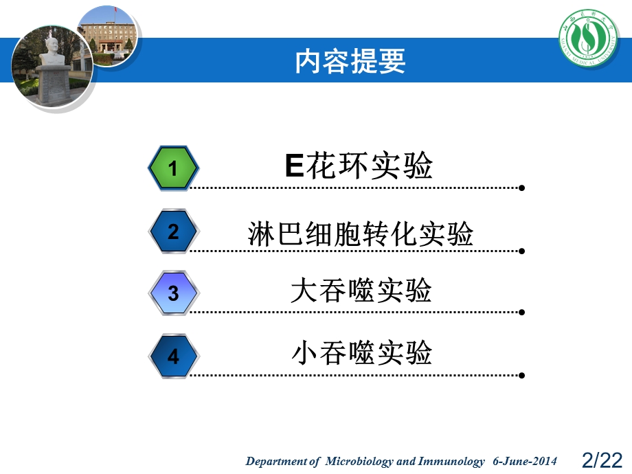 细胞免疫学实验.ppt_第2页