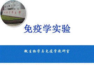 细胞免疫学实验.ppt